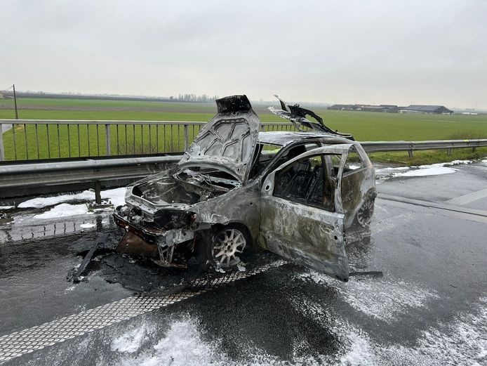 Auto brandt volledig uit op E40 koppel samen met twee honden naar