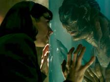 'Film Shape of Water is afgekeken van toneelstuk uit jaren zestig'