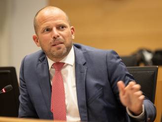 Theo Francken geen kandidaat-ondervoorzitter voor N-VA
