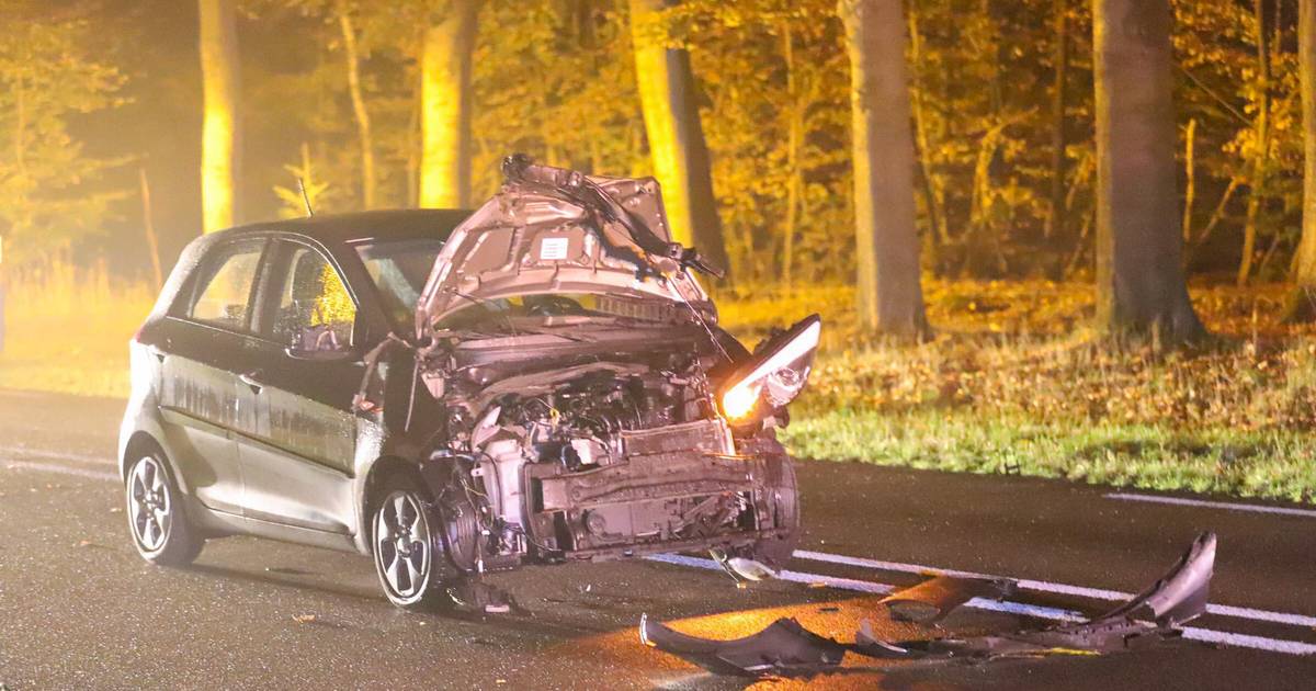 Ree overleden door botsing met auto in Ede, auto total loss.