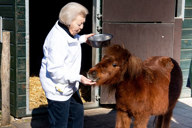 Prinses Beatrix helpt mee met een NLdoet-activiteit bij Kinderboerderij de Schaapskooi. Beeld Brunopress