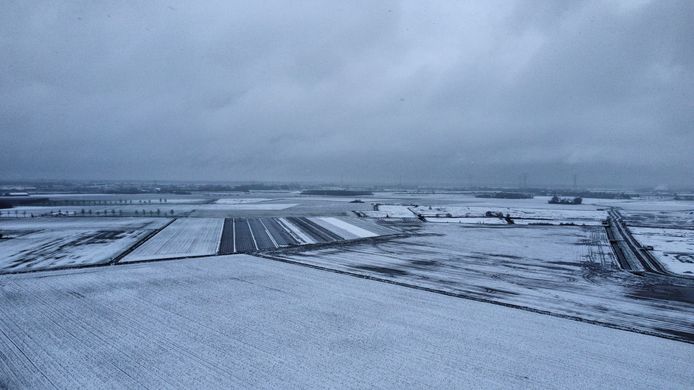 Een witte Yerseke Moer, gefotografeerd met een drone