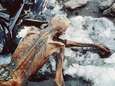 Mossen onthullen welke route Ötzi de ijsman nam toen het noodlot toesloeg 
