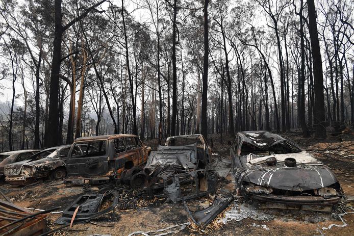 Geparkeerde wagens in Mogo Village (New South Wales) die volledig vernield werden door de vuurzee.