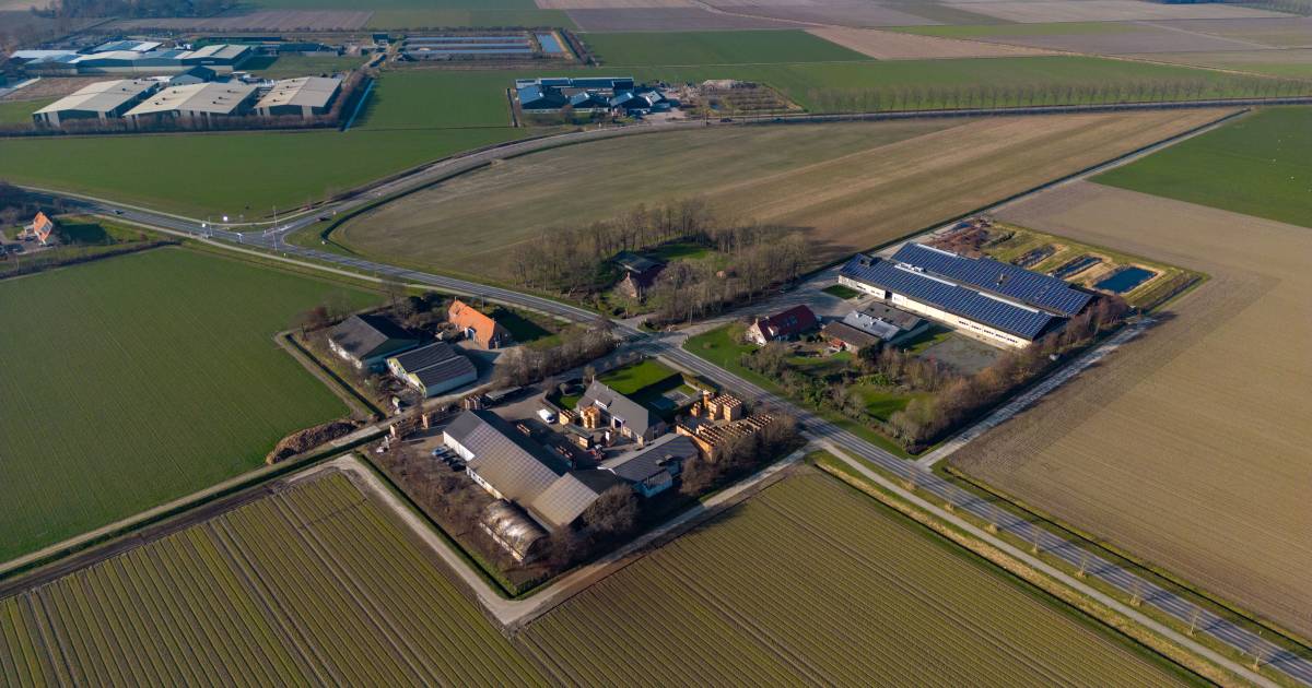 Bijna twee miljoen Nederlanders hebben onvoldoende voorzieningen in de buurt