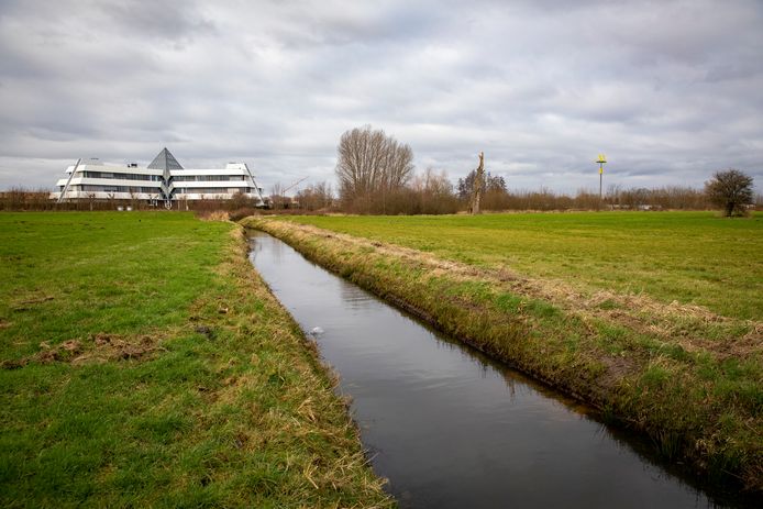 Op braakliggend terrein aan de Noord-Brabantlaan, achter de P+R Meerhoven en Hotel Campanile, moet de winternoodopvang komen voor daklozen.