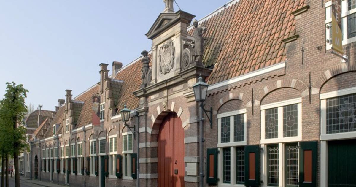 Frans Hals Museum krijgt niet eerder getoond werk in bruikleen |  Noord-Holland | AD.nl