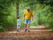 Hoe onze bossen in korte tijd veranderen: ‘Als je kleinzoon zelf opa is, wandelt hij over een heel andere Veluwe’