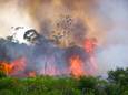 Bosbranden in de Braziliaanse Amazone op archiefbeeld.