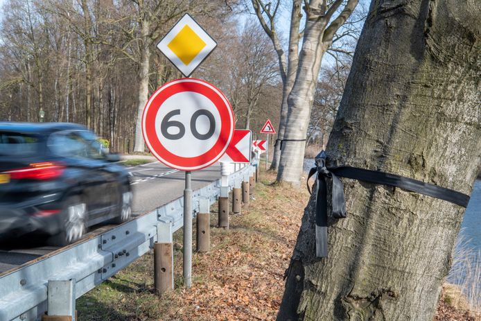 Een rouwband aan een boom, na een dodelijk ongeluk. De gemeenteraad van Apeldoorn drukte op initiatief van omwonenden van de weg langs het Apeldoorns Kanaal een snelheidsverlaging door.