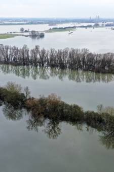 Hoge waterstanden en de Biesbosch: een onafscheidelijk duo