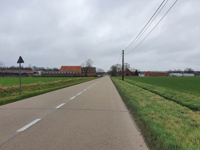 De Bolksedijk in Rijkevorsel