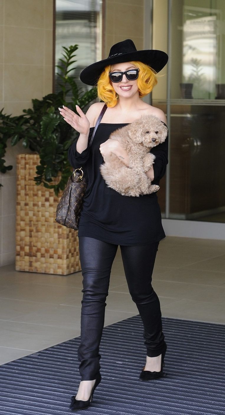 Lady gaga pregnant
