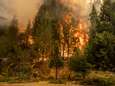 ‘Dixie Fire’ is nu al tweede grootste brand die de staat Californië ooit geteisterd heeft 