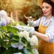 Hallo april: de hortensia én deze andere planten moeten deze maand gesnoeid worden