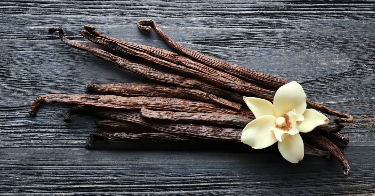 Vanilleprijs Extreem Hoog Voor Een Stokje Betaal Je Vier Euro Koken Eten Ad Nl