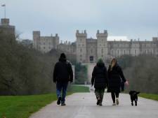 Indringer terrein Windsor Castle opgepakt en mentaal onderzocht