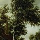 Het ruist in de twee bomen van Meindert Hobbema