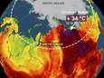 Zo dramatisch is de toestand aan de Noordpool: extreme hitte met temperaturen tot 34 (!) graden