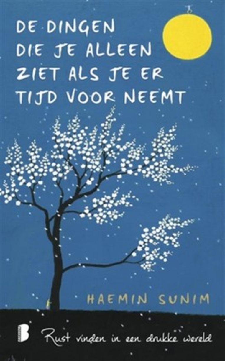 null Beeld RV