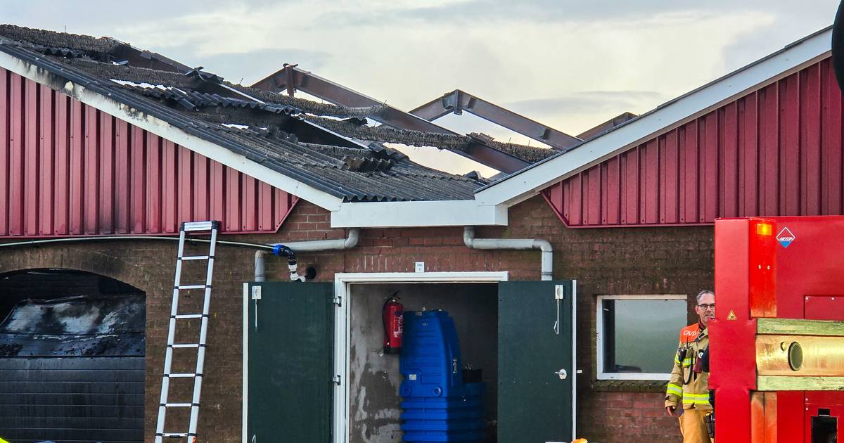 700 biggen dood bij nachtelijke brand in boerenstallen in de Achterhoek