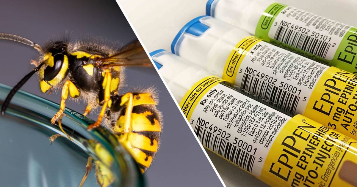 Terrifying: Life-saving allergy medicine is not available during wasp infestation |  Home