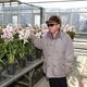 Kim Jong-il geeft half miljoen dollar aan Japan