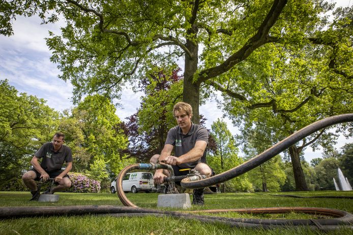 Bomen zijn volgens de gemeente Rijssen-Holten belangrijk. Daarom kregen recent nog 12 markante exemplaren in het Rijssense Volkspark een vitaliteitsinjectie met zuurstof en mest.