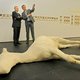 Musea willen spraakmakende tentoonstellingen naar Antwerpen halen
