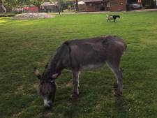 Een portie vrolijkheid: dit zijn geluksplekken in Eindhoven