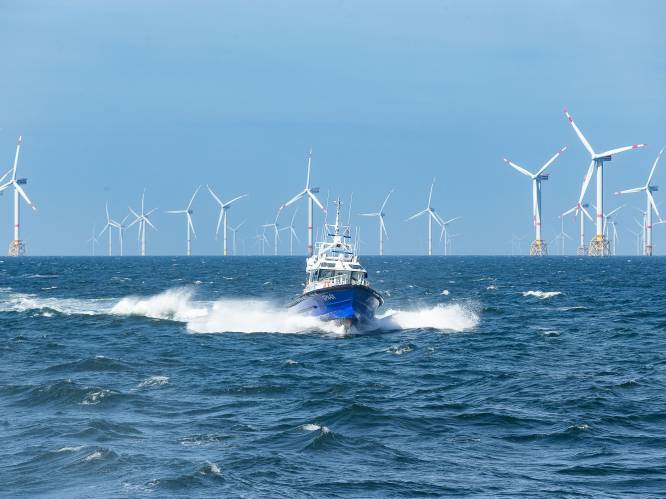Terugbetaling offshorewindparken levert 190 miljoen euro op voor de staatskas