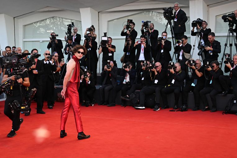 Timothée Chalamet sul red carpet della premiere di Bones & All.  Immagine Stephane Cardinale - Corbis / Corbis via Getty Images