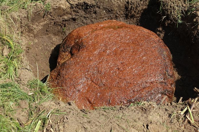 De gevonden markesteen is van rode graniet en weegt 500 kilo.