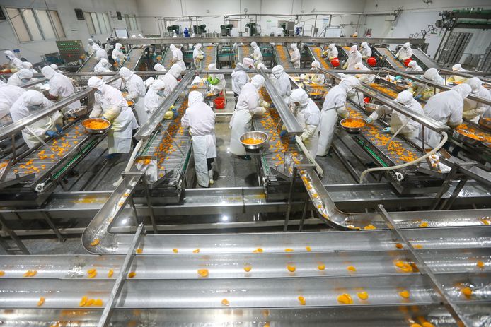 Productiemedewerkers verwerken sinaasappels die worden ingeblikt in een fabriek in het Chinese Huaibei. De Chinese economie heeft geen last meer van de coronacrisis.