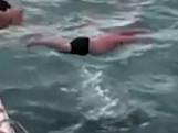 Man uit Nieuw-Zeeland springt op orka's en krijgt boete
