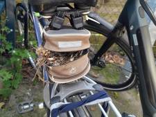 Nestelen in bijzondere ‘eierdoos’: ‘Als je je fiets lang laat staan, maken vogels gebruik van de gelegenheid. Mooi toch?