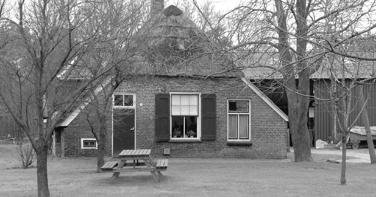 Gemeente Hellendoorn schrapt monument in Daarle