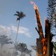 Recordaantal branden in Braziliaans regenwoud