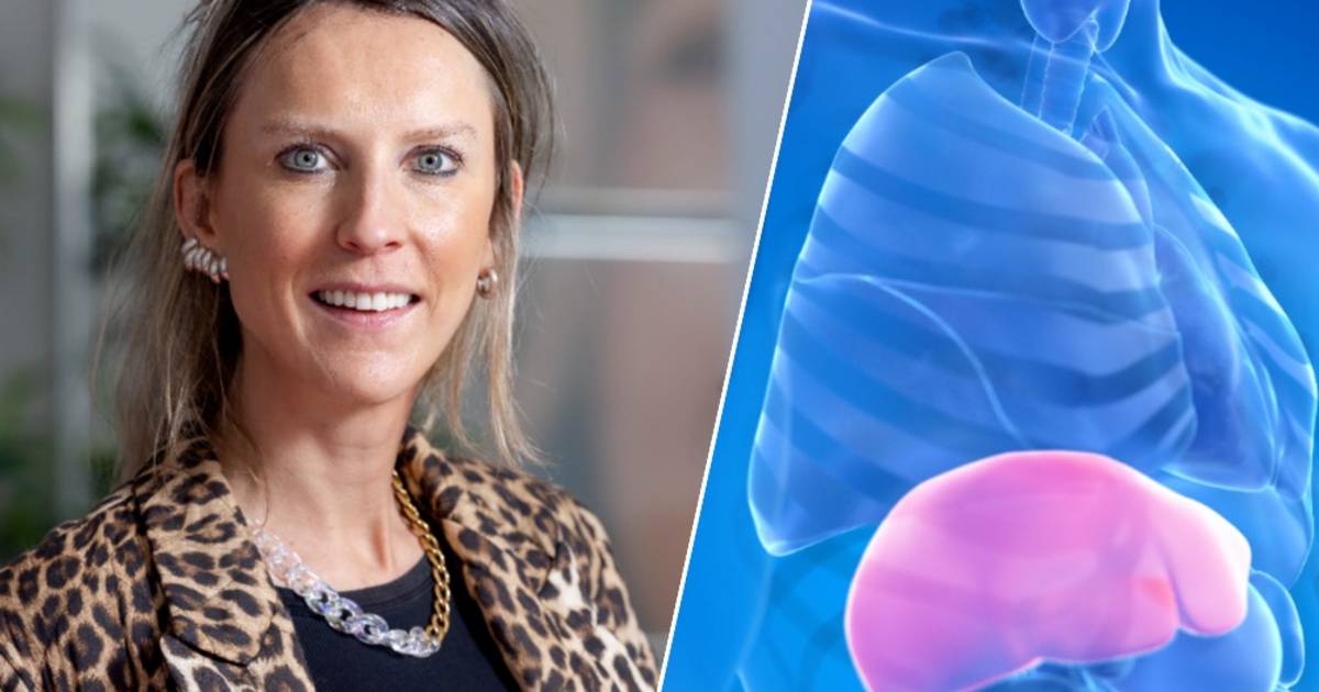 ‘Nietalcoholische leververvetting is de ziekte van de toekomst’ zo hou je je lever in topvorm
