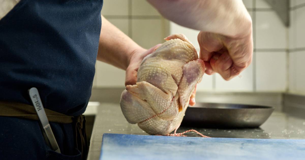 Moet Je Kip Wassen Voor Je Hem Bakt En Andere Belangrijke Vragen Over Voedselveiligheid Koken Eten Ad Nl