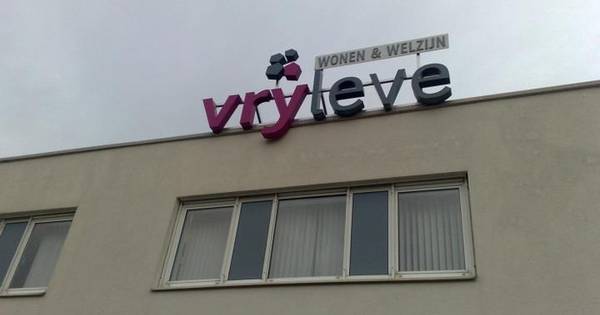 Veel belangstelling voor dijkkavels in Tolkamer