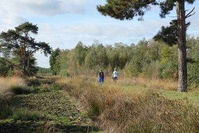 Turfstekerstocht door Groote Peel