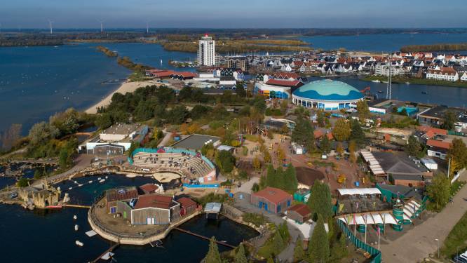 Slaat Dolfinarium met nieuwe koers een doodlopende weg in? ‘Dit is het begin van het einde’