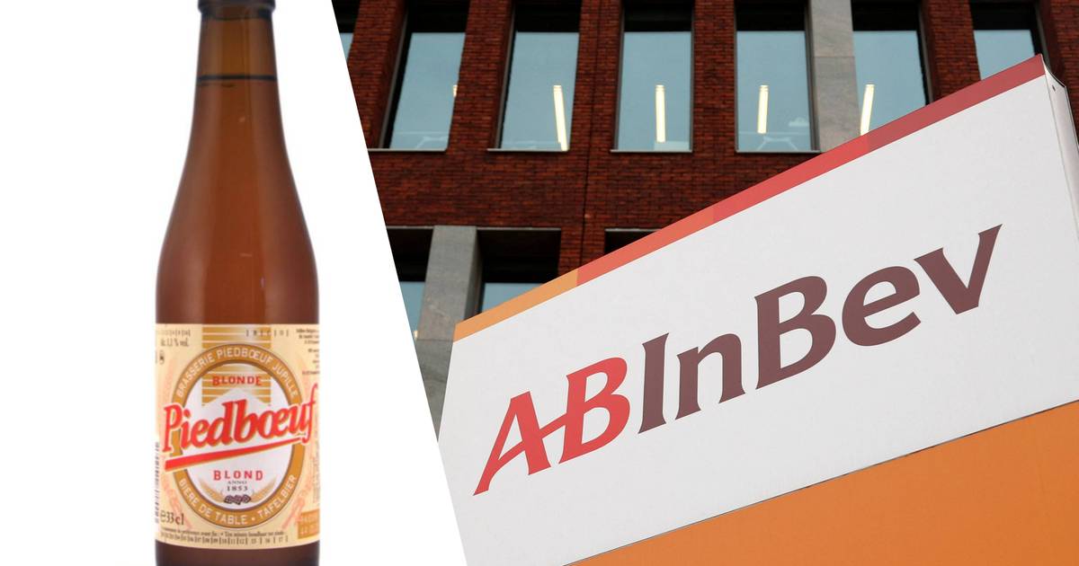 Piedboeuf Extra: Affordable Beer Option by AB Inbev