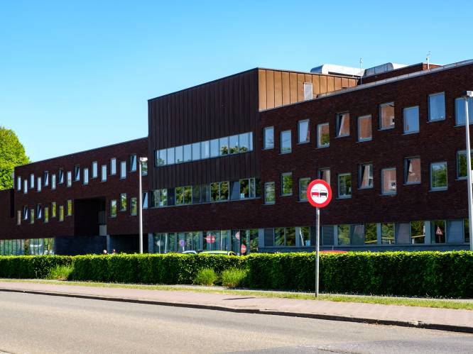 WZC Hoghe Cluyse geeft tuinfeest met rommelmarkt