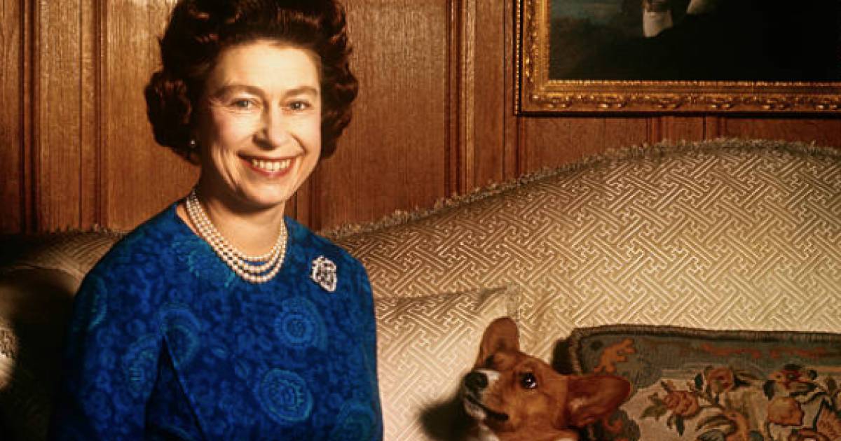 Dopotutto, i Royal Corgis non erano un tipico animale domestico: “Avevano un membro del postino e hanno persino preso la regina” |  La regina Elisabetta II è morta