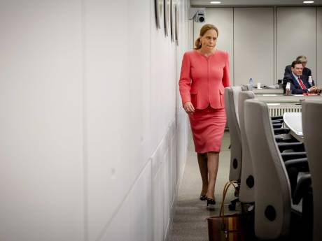 Strijd Pensioenwet nadert ontknoping, voorstanders zien geen probleem met Grondwet