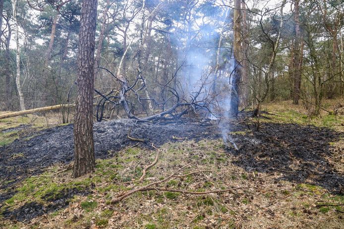 Wandelaars ontdekken beginnende bosbrand