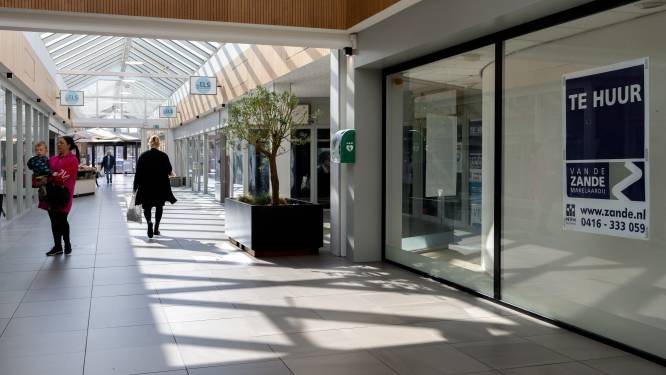 Zorgenkindje De Els is belangrijk voor Waalwijks centrum: ‘Winkels wachten op facelift’