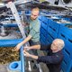 'Oesters van het land zijn beter voor Zeeuwse natuur'